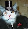Нажмите на изображение для увеличения.

Название:	freaking_awesome_animal_640_44.jpg
Просмотров:	314
Размер:	45.0 Кб
ID:	3448630