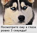 Нажмите на изображение для увеличения.

Название:	Фокус2.jpg
Просмотров:	1308
Размер:	46.0 Кб
ID:	3448976