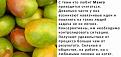 Нажмите на изображение для увеличения.

Название:	Манго.jpg
Просмотров:	192
Размер:	47.9 Кб
ID:	3449096