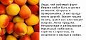 Нажмите на изображение для увеличения.

Название:	Персик.jpg
Просмотров:	185
Размер:	45.7 Кб
ID:	3449098