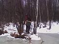 Нажмите на изображение для увеличения.

Название:	IMG0110A.jpg
Просмотров:	712
Размер:	78.1 Кб
ID:	3449185