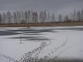 Нажмите на изображение для увеличения.

Название:	DSC09909.jpg
Просмотров:	1360
Размер:	103.1 Кб
ID:	3453960
