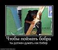 Нажмите на изображение для увеличения.

Название:	Bobr.jpg
Просмотров:	485
Размер:	34.0 Кб
ID:	3454220