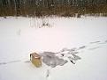 Нажмите на изображение для увеличения.

Название:	140120123164.jpg
Просмотров:	1082
Размер:	86.4 Кб
ID:	3454414