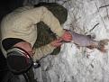 Нажмите на изображение для увеличения.

Название:	IMG_6597.jpg
Просмотров:	665
Размер:	59.1 Кб
ID:	3454780