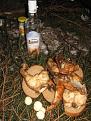 Нажмите на изображение для увеличения.

Название:	IMG_6603.jpg
Просмотров:	690
Размер:	102.7 Кб
ID:	3454782