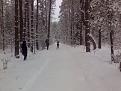 Нажмите на изображение для увеличения.

Название:	21012012155-1.jpg
Просмотров:	455
Размер:	145.2 Кб
ID:	3454933