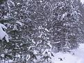 Нажмите на изображение для увеличения.

Название:	IMG_0836.jpg
Просмотров:	698
Размер:	77.1 Кб
ID:	3455275