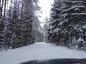 Нажмите на изображение для увеличения.

Название:	DSC00434.jpg
Просмотров:	788
Размер:	135.9 Кб
ID:	3455281