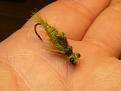 Нажмите на изображение для увеличения.

Название:	DragonflyNymph-005.jpg
Просмотров:	686
Размер:	41.1 Кб
ID:	3455497
