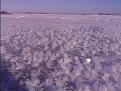 Нажмите на изображение для увеличения.

Название:	2012-01-28 12.53.54.jpg
Просмотров:	2932
Размер:	144.2 Кб
ID:	3455652