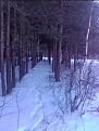 Нажмите на изображение для увеличения.

Название:	2012-01-28 17.37.15.jpg
Просмотров:	1569
Размер:	192.6 Кб
ID:	3455656