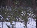 Нажмите на изображение для увеличения.

Название:	IMG_0858.jpg
Просмотров:	556
Размер:	76.9 Кб
ID:	3455665