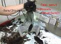 Нажмите на изображение для увеличения.

Название:	1327653901_kotomatrix_03-1.jpg
Просмотров:	847
Размер:	69.3 Кб
ID:	3455696