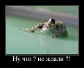 Нажмите на изображение для увеличения.

Название:	0_8511f_8aba35_XL.jpg
Просмотров:	341
Размер:	35.9 Кб
ID:	3456040