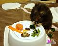 Нажмите на изображение для увеличения.

Название:	sushi-dlya-homyaka-3.jpg
Просмотров:	359
Размер:	160.9 Кб
ID:	3456274