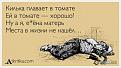 Нажмите на изображение для увеличения.

Название:	265e03.jpg
Просмотров:	1432
Размер:	29.3 Кб
ID:	3456449