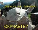 Нажмите на изображение для увеличения.

Название:	1286899084_1256999825_388260.jpg
Просмотров:	1301
Размер:	42.1 Кб
ID:	3456464