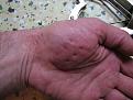 Нажмите на изображение для увеличения.

Название:	IMG_1473.JPG
Просмотров:	550
Размер:	98.1 Кб
ID:	3456616