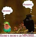 Нажмите на изображение для увеличения.

Название:	птицы.jpg
Просмотров:	1372
Размер:	38.0 Кб
ID:	3456632
