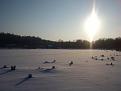 Нажмите на изображение для увеличения.

Название:	DSC02032.jpg
Просмотров:	1312
Размер:	78.7 Кб
ID:	3456734