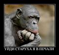 Нажмите на изображение для увеличения.

Название:	s3img_12398122_4924_0.jpg
Просмотров:	1269
Размер:	22.6 Кб
ID:	3456854