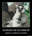 Нажмите на изображение для увеличения.

Название:	s3img_34871208_2064_1.jpg
Просмотров:	1272
Размер:	24.3 Кб
ID:	3456859