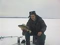 Нажмите на изображение для увеличения.

Название:	080220121054.jpg
Просмотров:	2438
Размер:	67.7 Кб
ID:	3457506