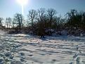 Нажмите на изображение для увеличения.

Название:	11022012129.jpg
Просмотров:	1141
Размер:	174.5 Кб
ID:	3459047