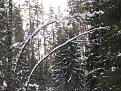 Нажмите на изображение для увеличения.

Название:	IMG_1004.jpg
Просмотров:	474
Размер:	118.5 Кб
ID:	3459129