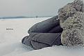 Нажмите на изображение для увеличения.

Название:	x_f730c40d.jpg
Просмотров:	1102
Размер:	56.1 Кб
ID:	3459341
