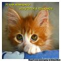 Нажмите на изображение для увеличения.

Название:	МЦ.jpg
Просмотров:	373
Размер:	82.1 Кб
ID:	3460111