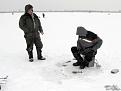 Нажмите на изображение для увеличения.

Название:	foto 006+.jpg
Просмотров:	1665
Размер:	32.6 Кб
ID:	3460218