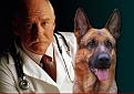 Нажмите на изображение для увеличения.

Название:	ad09 на приёме у Dr Alex.jpg
Просмотров:	246
Размер:	31.0 Кб
ID:	3460362