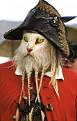 Нажмите на изображение для увеличения.

Название:	1196008431_1195736311_animals_pirates_9.jpg
Просмотров:	231
Размер:	47.3 Кб
ID:	3460532