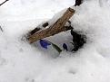 Нажмите на изображение для увеличения.

Название:	vesna_vesennie_peyzagi_foto_17.jpg
Просмотров:	218
Размер:	50.2 Кб
ID:	3462148