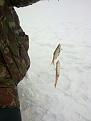 Нажмите на изображение для увеличения.

Название:	01032012807.jpg
Просмотров:	3961
Размер:	170.5 Кб
ID:	3462204