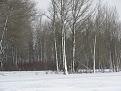 Нажмите на изображение для увеличения.

Название:	IMG_1491.jpg
Просмотров:	262
Размер:	84.2 Кб
ID:	3462608