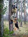 Нажмите на изображение для увеличения.

Название:	кусака.jpg
Просмотров:	698
Размер:	82.2 Кб
ID:	3464352