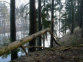 Нажмите на изображение для увеличения.

Название:	DSCF5691.gif
Просмотров:	681
Размер:	184.7 Кб
ID:	3465046