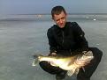 Нажмите на изображение для увеличения.

Название:	17032012100.jpg
Просмотров:	637
Размер:	177.5 Кб
ID:	3465099
