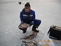 Нажмите на изображение для увеличения.

Название:	DSCввN1426.jpg
Просмотров:	2728
Размер:	96.6 Кб
ID:	3465463
