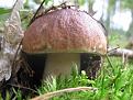 Нажмите на изображение для увеличения.

Название:	IMG_2287.jpg
Просмотров:	995
Размер:	179.7 Кб
ID:	3470156