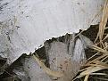 Нажмите на изображение для увеличения.

Название:	IMG_0824.jpg
Просмотров:	904
Размер:	197.3 Кб
ID:	3470307