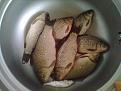 Нажмите на изображение для увеличения.

Название:	24032012033.jpg
Просмотров:	1595
Размер:	150.0 Кб
ID:	3470485