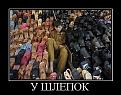 Нажмите на изображение для увеличения.

Название:	x_e6c79ade.jpg
Просмотров:	776
Размер:	84.9 Кб
ID:	3470693