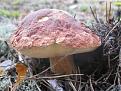 Нажмите на изображение для увеличения.

Название:	IMG_2351.jpg
Просмотров:	656
Размер:	193.2 Кб
ID:	3470794