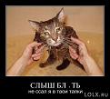 Нажмите на изображение для увеличения.

Название:	1301654480_demotivator-019.jpg
Просмотров:	896
Размер:	43.4 Кб
ID:	3471391