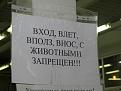 Нажмите на изображение для увеличения.

Название:	101_2344.jpg
Просмотров:	1877
Размер:	193.3 Кб
ID:	3471925