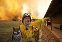 Нажмите на изображение для увеличения.

Название:	texas-wildfires-2011-firefighters_34908_600x450.jpg
Просмотров:	318
Размер:	40.9 Кб
ID:	3472060
